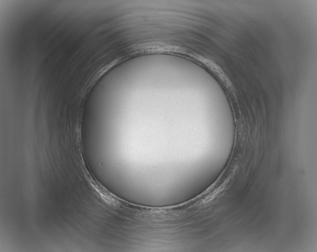 X0000076390897200610060901