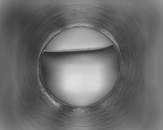 X0000076390898200610060901