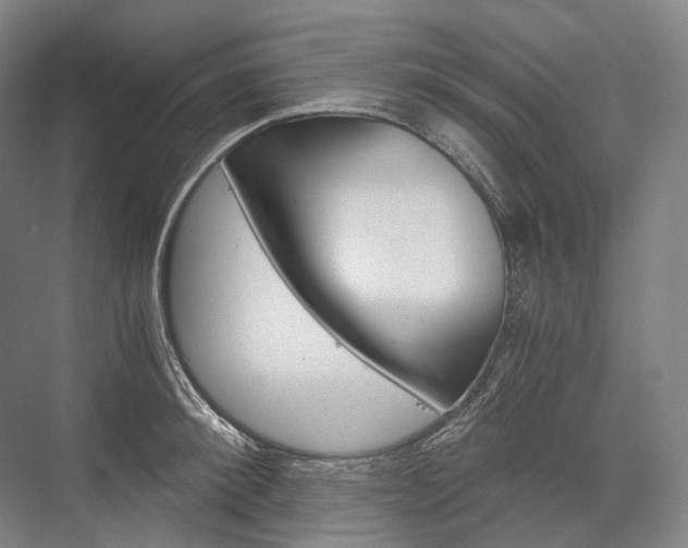 X0000076390900200610060900