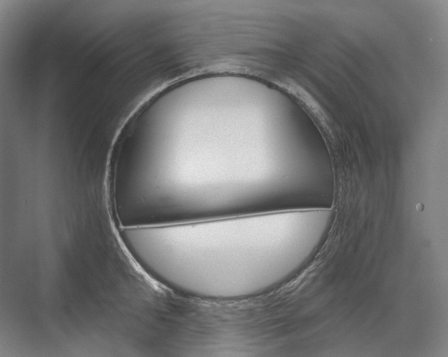 X0000076390902200610060900