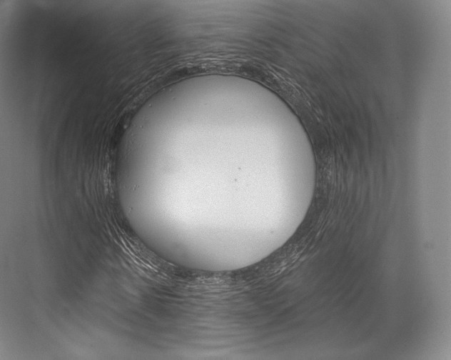 X0000076390914200610060859