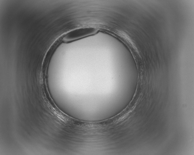 X0000076390924200610060900