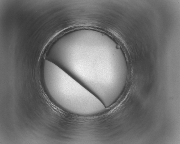 X0000076390925200610060900