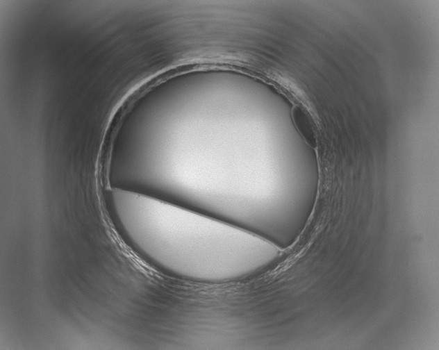 X0000076390928200610060900
