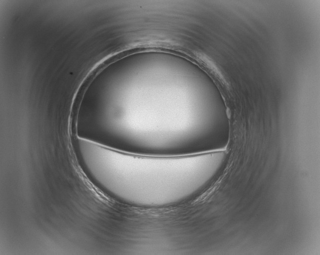 X0000076390932200610060900