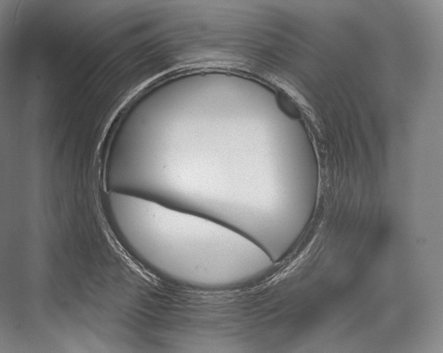 X0000076390933200610060900