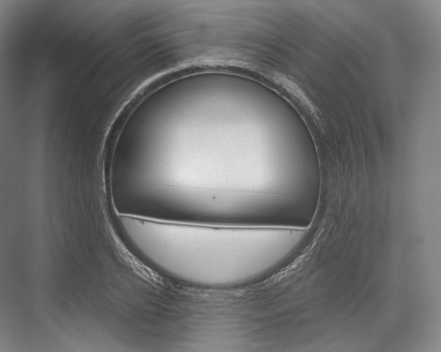 X0000076390934200610060900