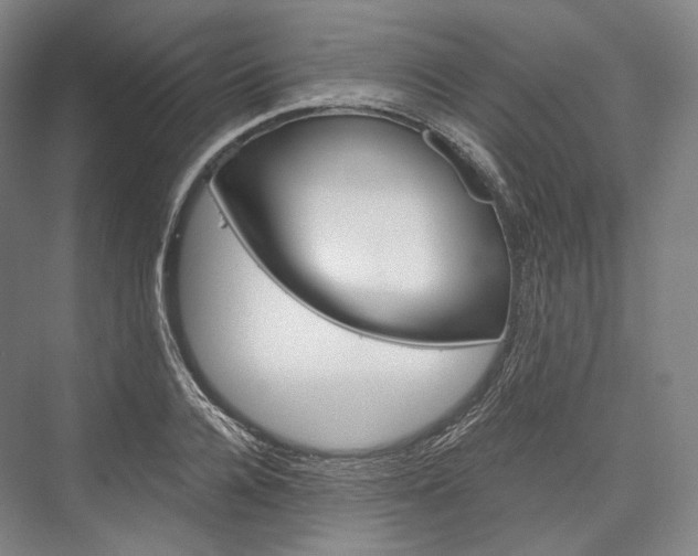 X0000076390936200610060900