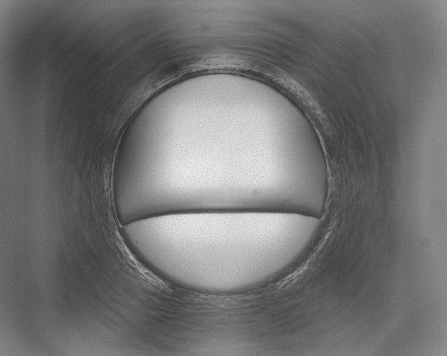 X0000076390937200610060900