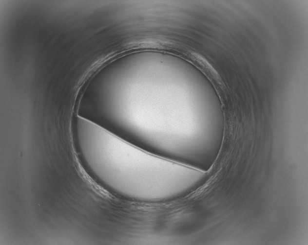 X0000076390938200610060900