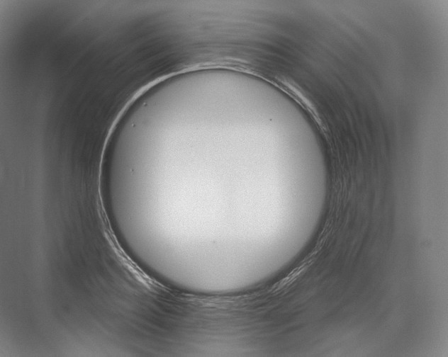 X0000076390940200610060900