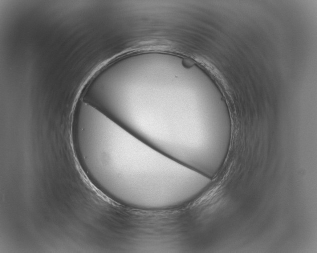 X0000076390941200610060900