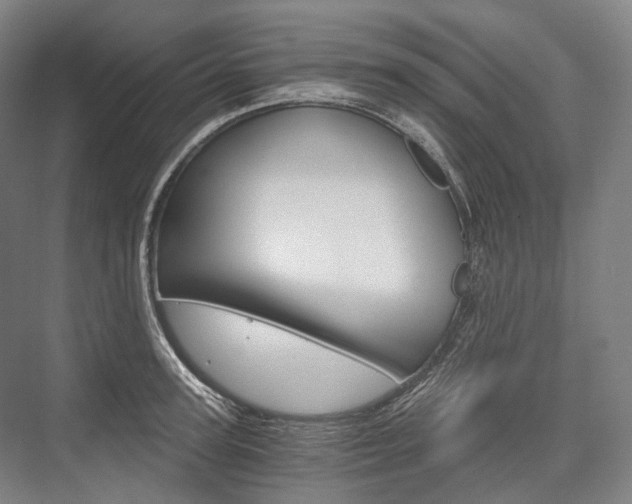 X0000076390947200610060900