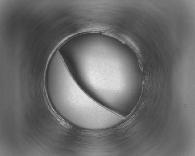 X0000076390948200610060900