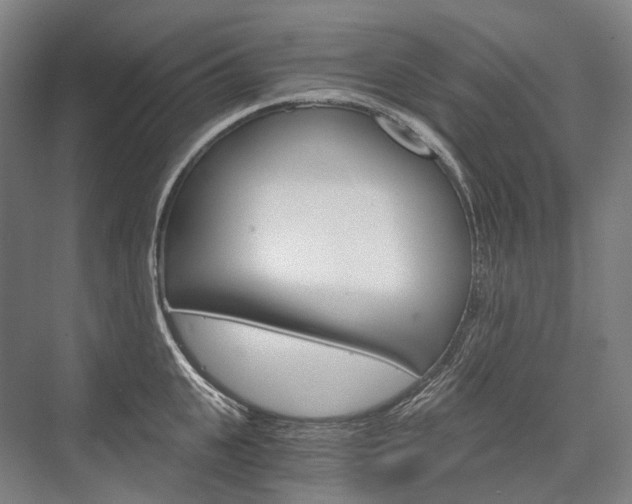 X0000076390951200610060900