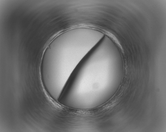 X0000076390954200610060900