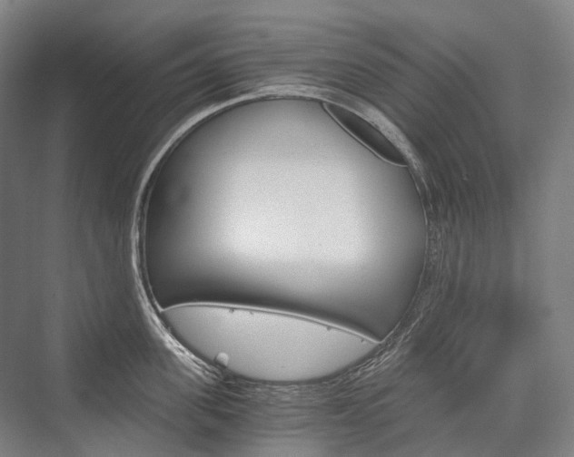 X0000076390955200610060900