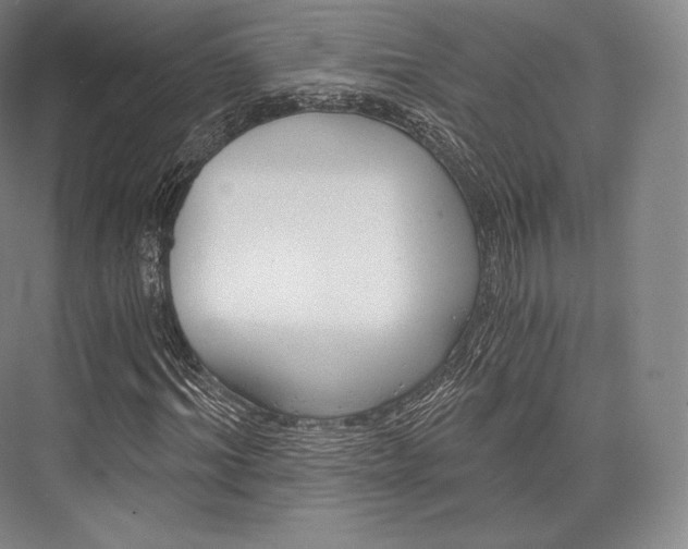 X0000076390964200610060859