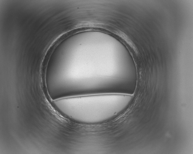X0000076390972200610060859