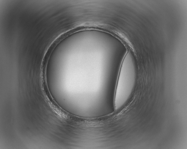 X0000076390976200610060859