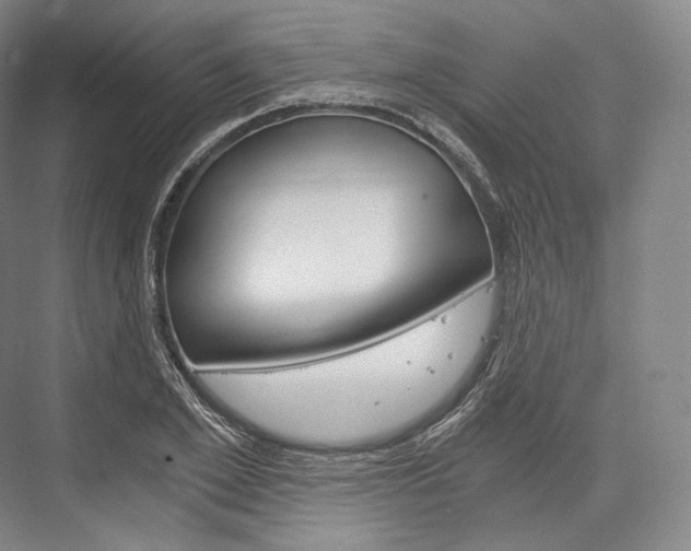 X0000076390981200610060859