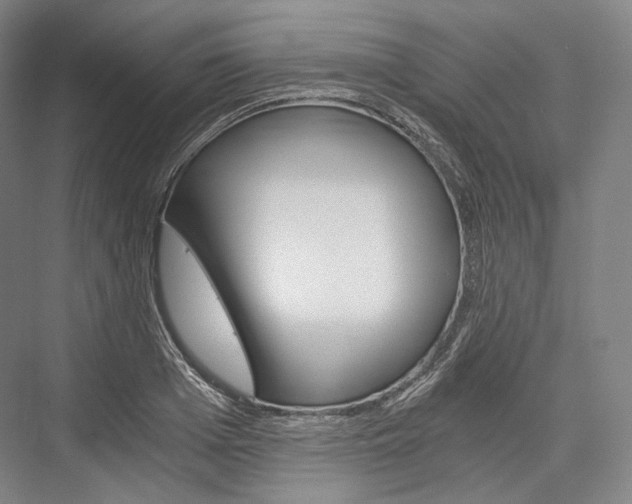 X0000076390985200610060859