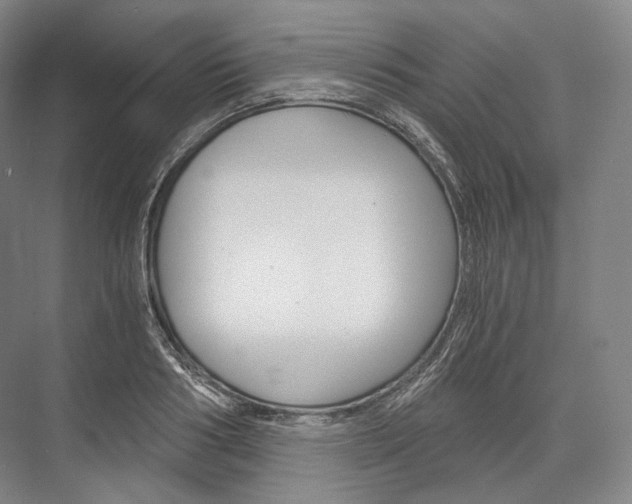 X0000076390986200610060859