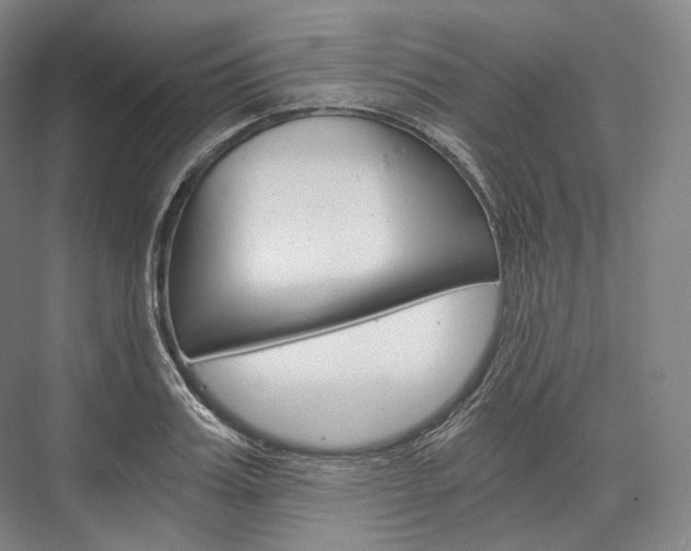X0000076390987200610060859