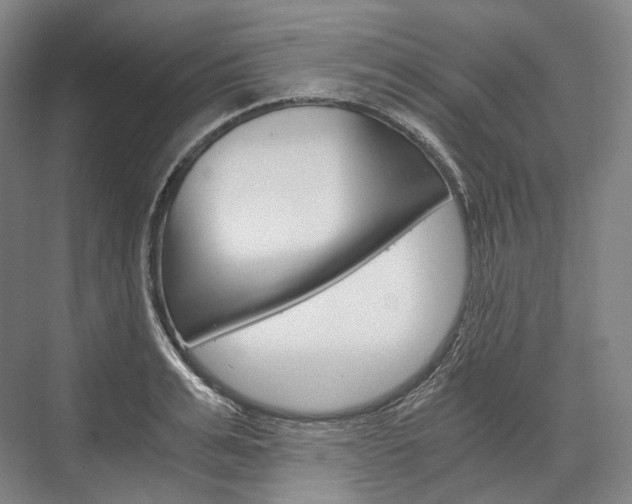 X0000076390991200610060859