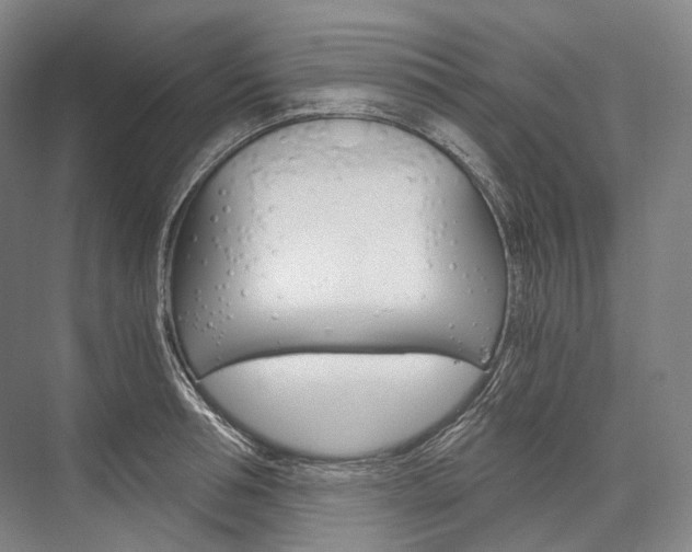 X0000076390994200610060859