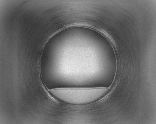 X0000076391001200610060859