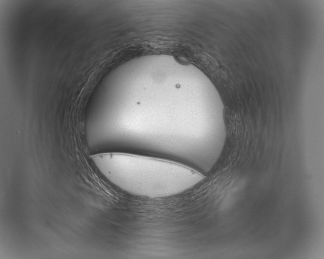 X0000076391009200610060858