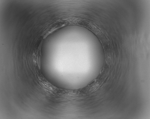 X0000076391010200610060858