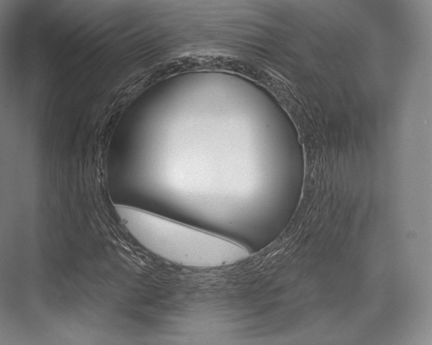 X0000076391014200610060858