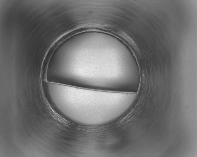 X0000076391020200610060858
