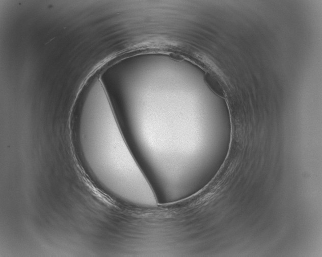X0000076391026200610060858