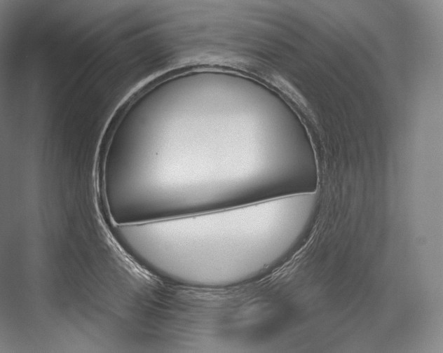 X0000076391028200610060858