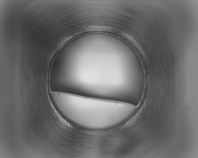 X0000076391033200610060858