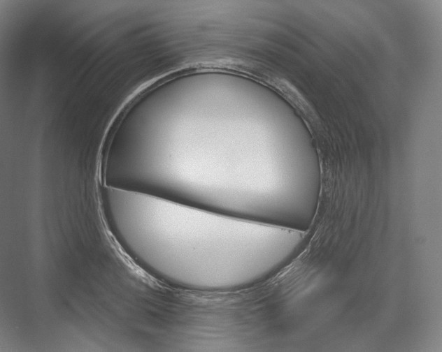 X0000076391036200610060858