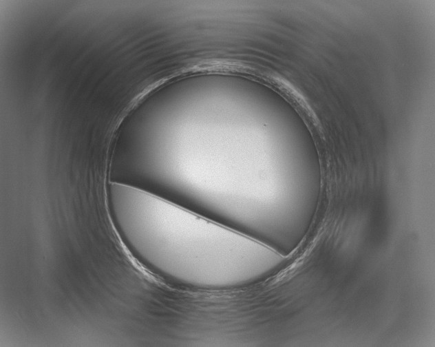 X0000076391041200610060858