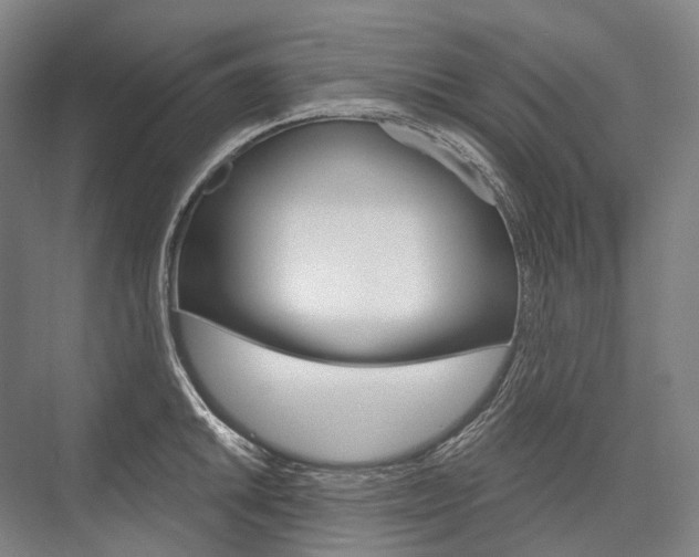 X0000076391046200610060858