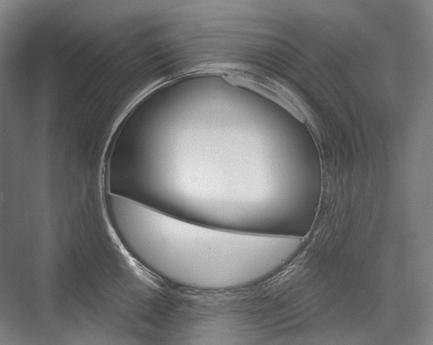 X0000076391050200610060859