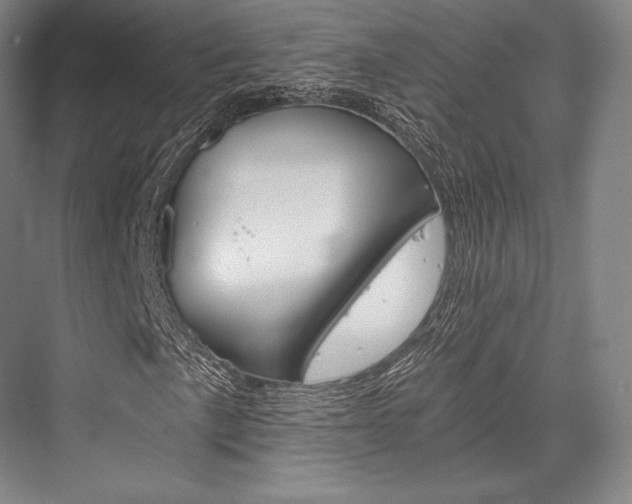 X0000076391057200610060858