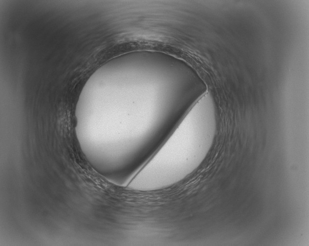 X0000076391061200610060858