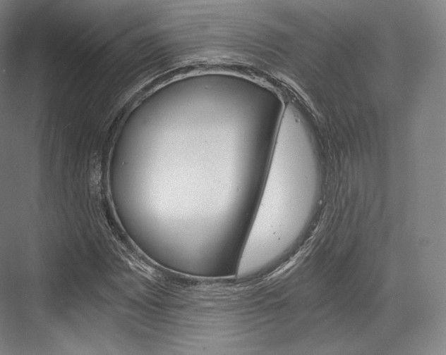 X0000076391065200610060858