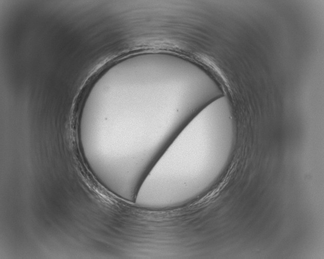 X0000076391071200610060858