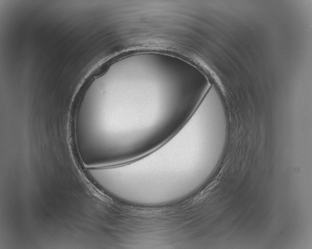 X0000076391085200610060857