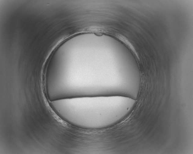 X0000076391091200610060857