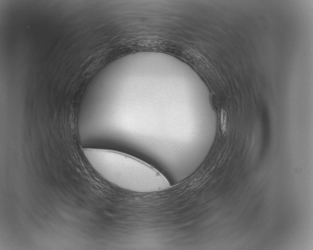 X0000076391107200610060856