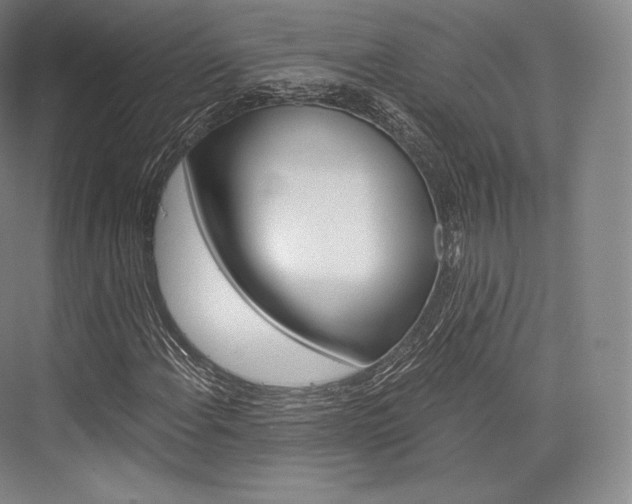 X0000076391108200610060856